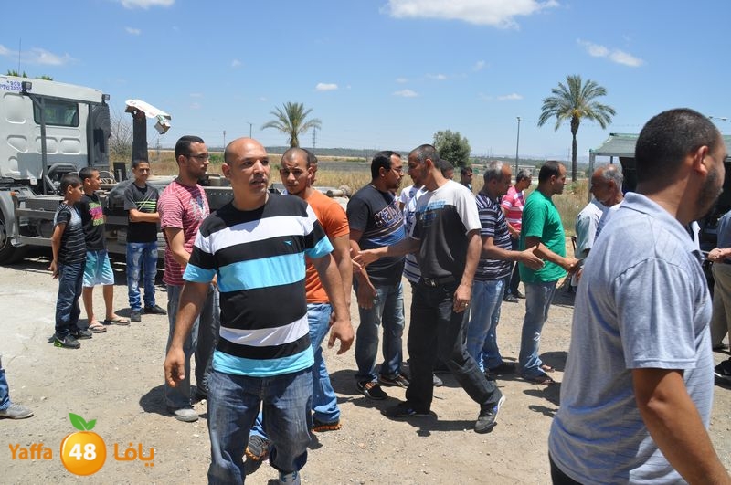 sol7desoqylud615 (62).JPG